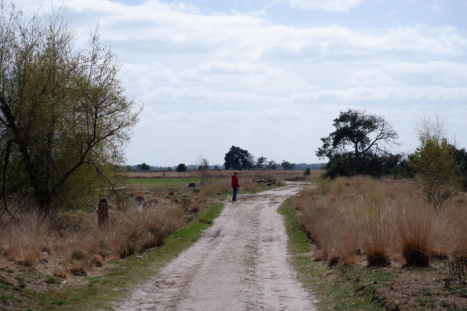 de Strabrechtse Heide